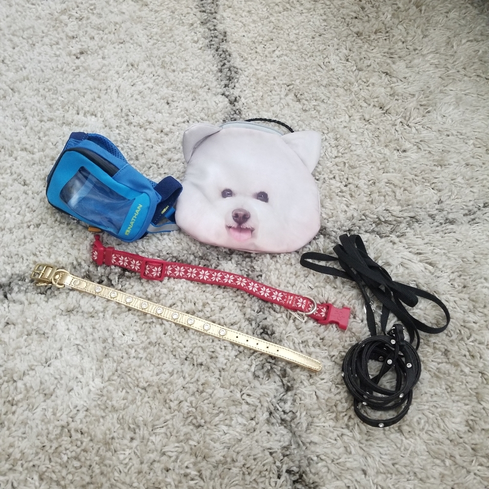 5 Piece Small Dog Items Training Boutique